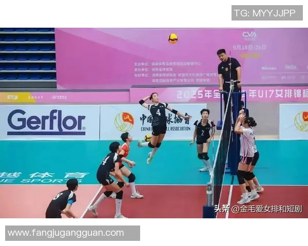 重庆排球队实力强劲荣登排球速度排行榜第四名引发关注 重庆排球队实力强劲荣登排球速度排行榜第四名引发关注